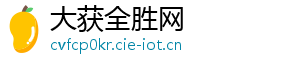 大获全胜网